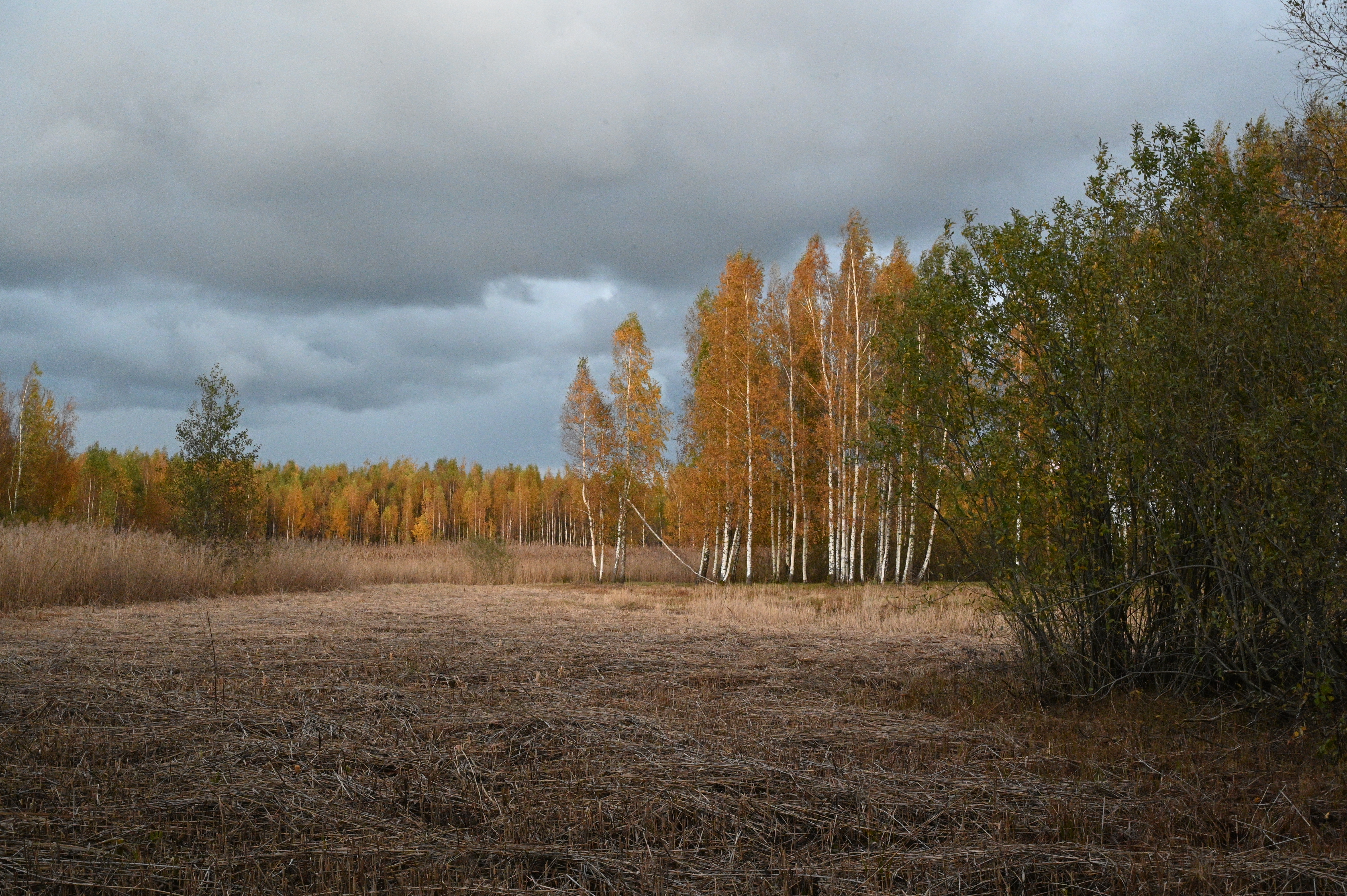 2025/10/18 - walk/DSC_0538.JPG